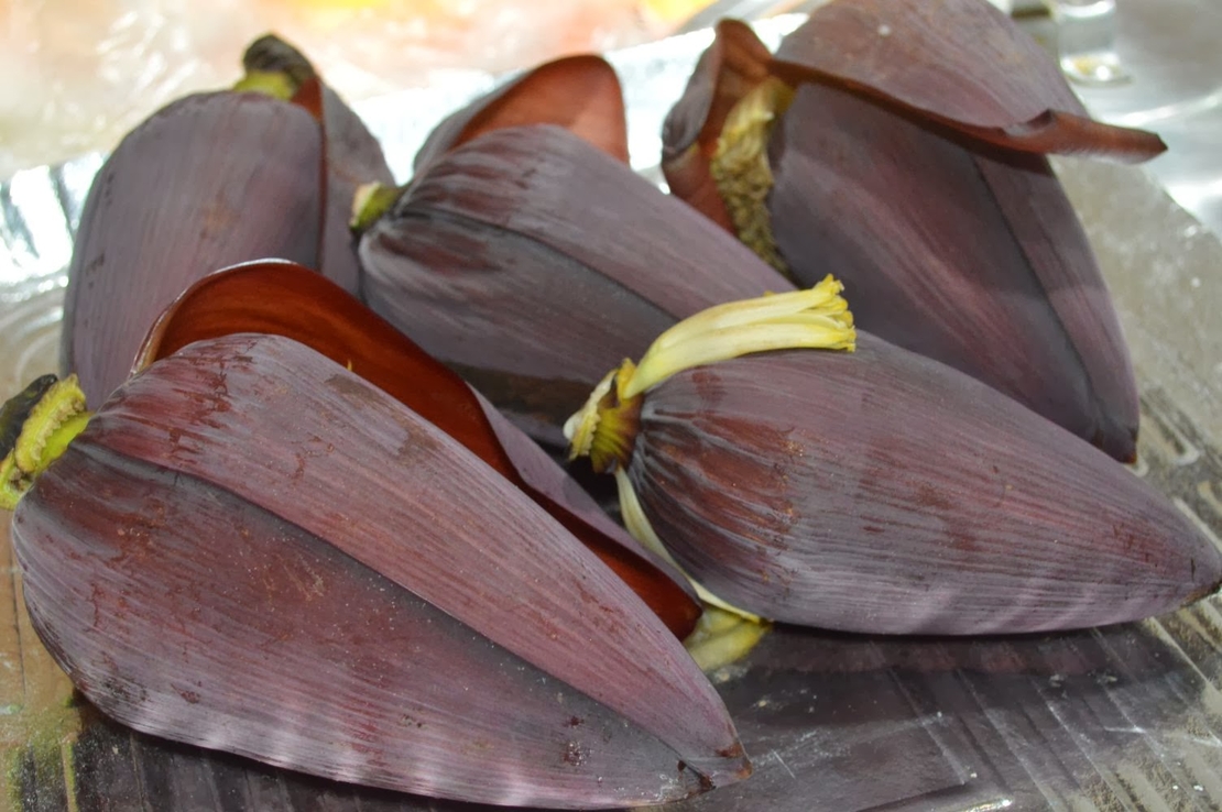 Banana Blossom