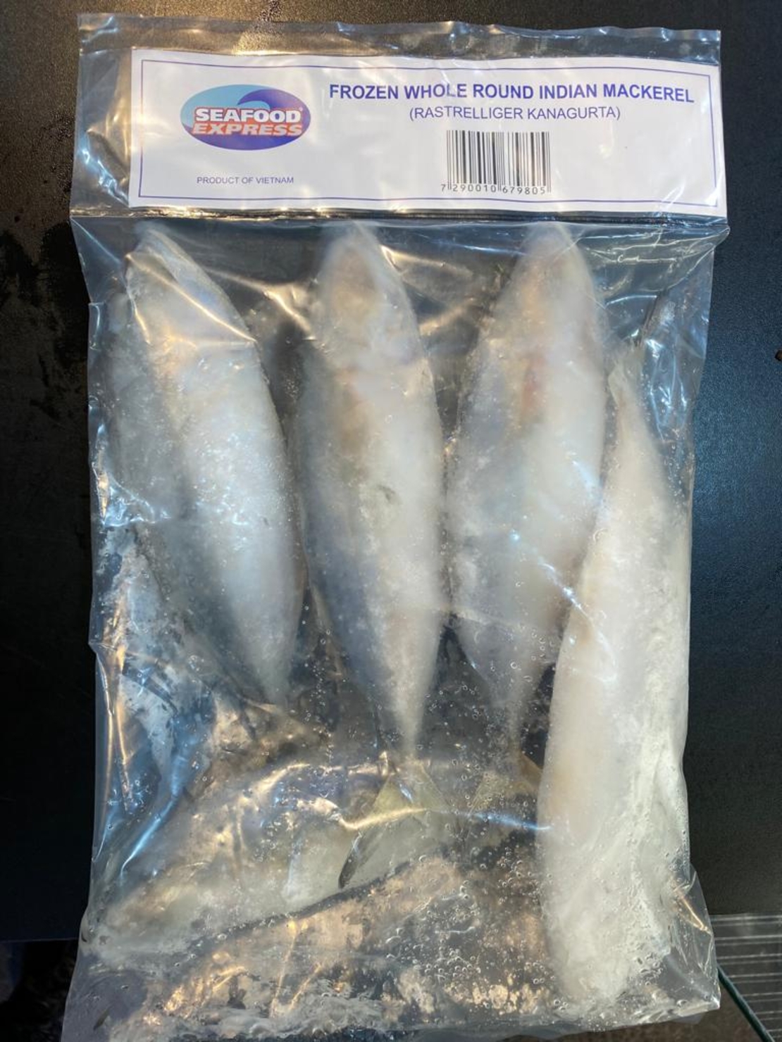 Seafood Express - Frozen Whole Round Indian Mackerel 800g