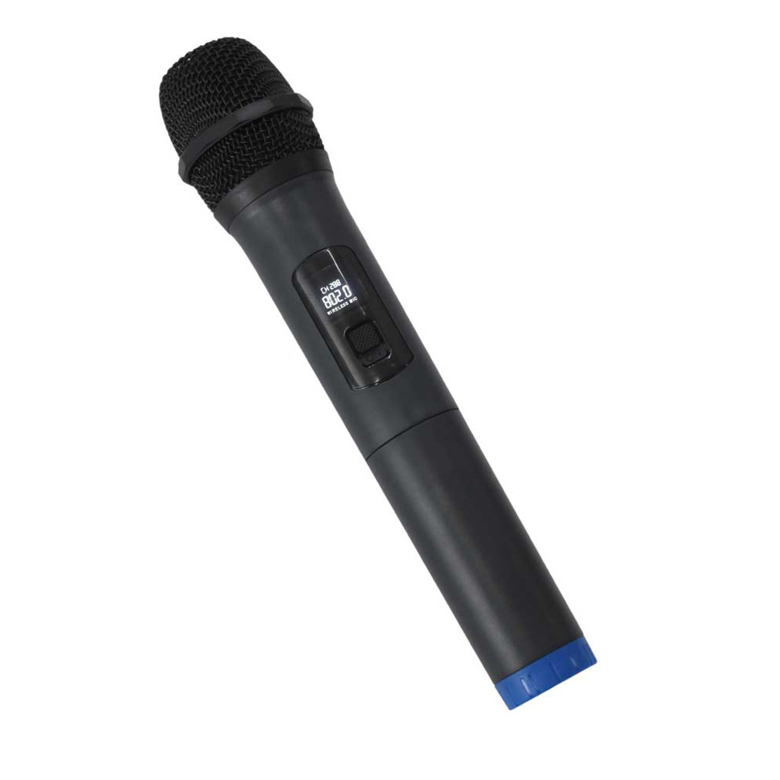 בידורית ניידת נטענת D65 מבית APEXTONE