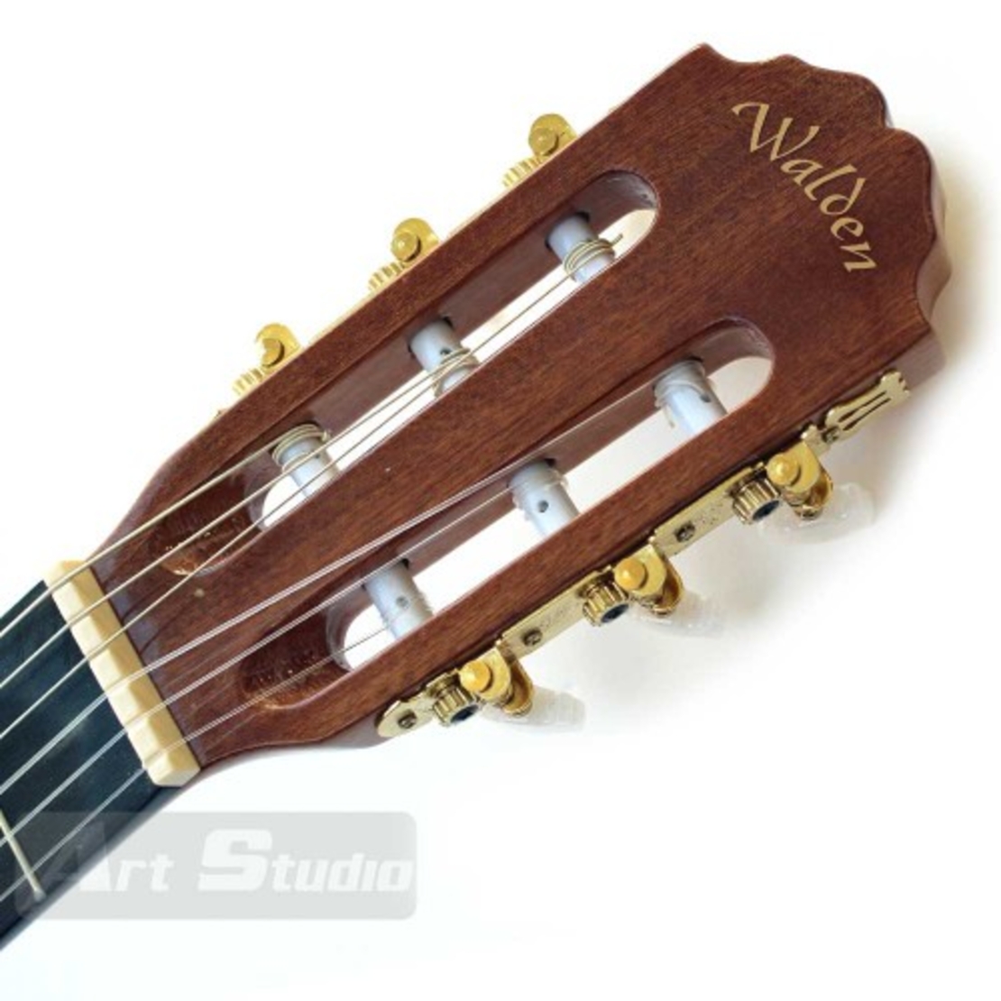 גיטרה קלאסית N460