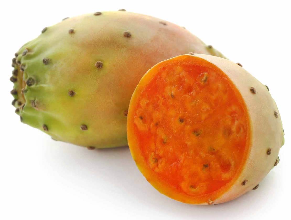 סברס מובחר (קייג)