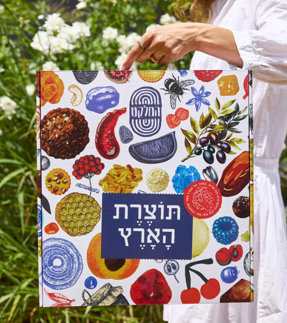 מזוודת כפיר