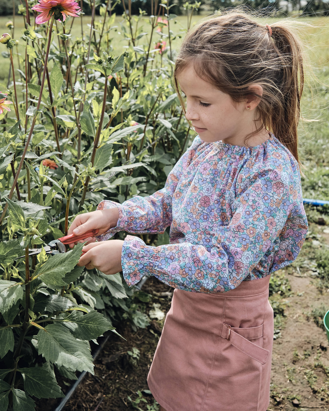 אריג כותנה אורגני דפוס פרחי שדה על רקע סגלגל