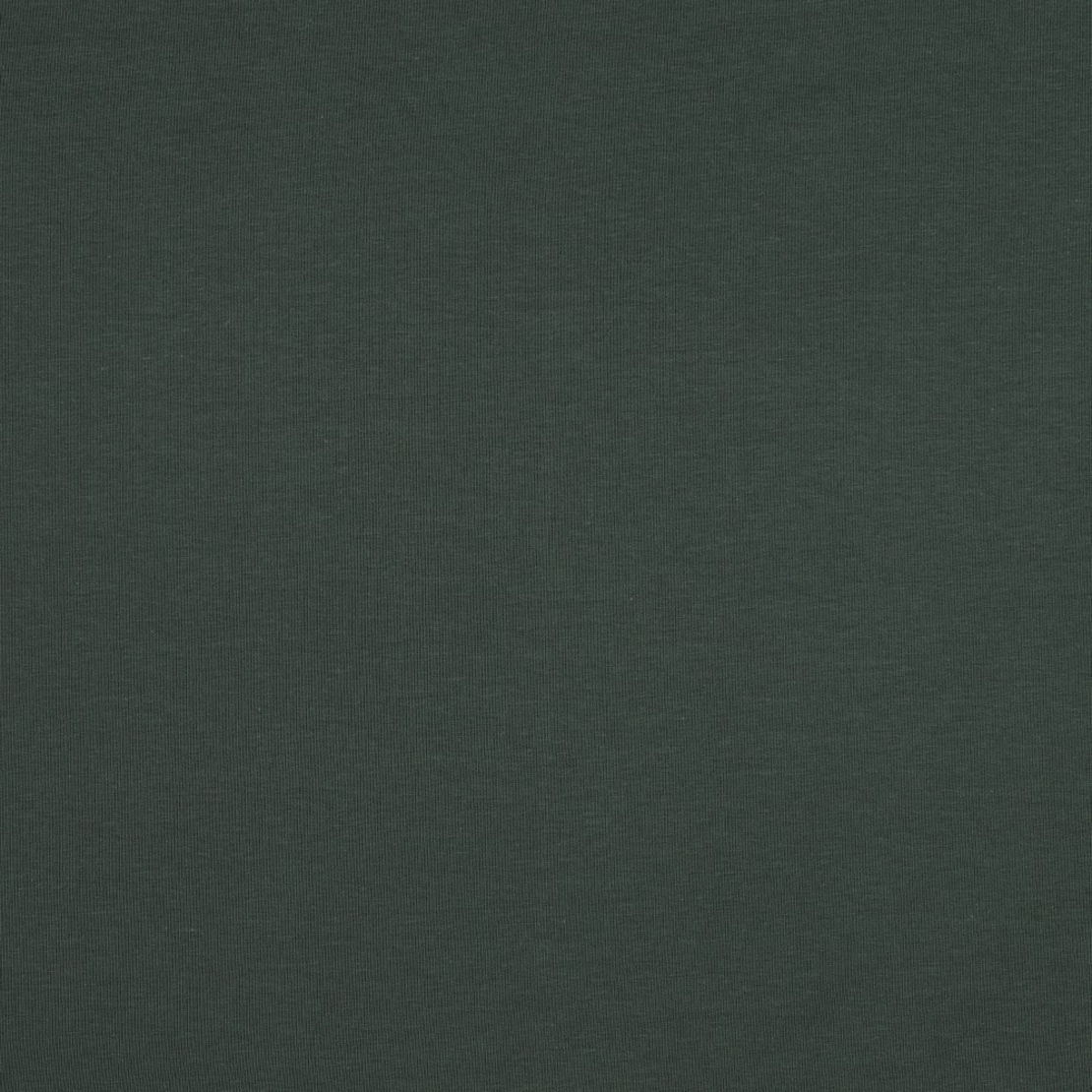 פרנץ טרי אורגני צבע ירוק יער כהה