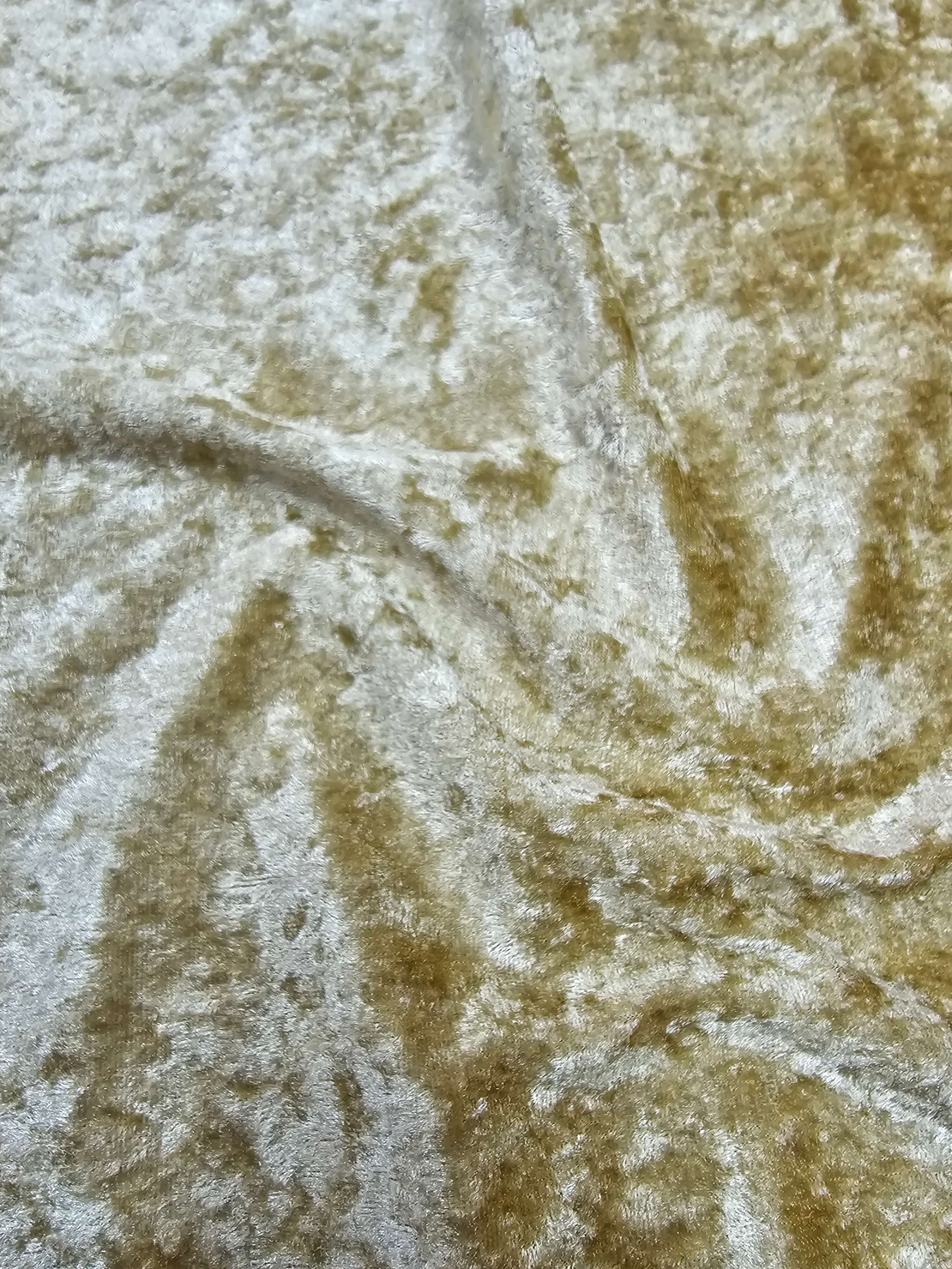 קטיפה מגורדת צבע זהב עדין