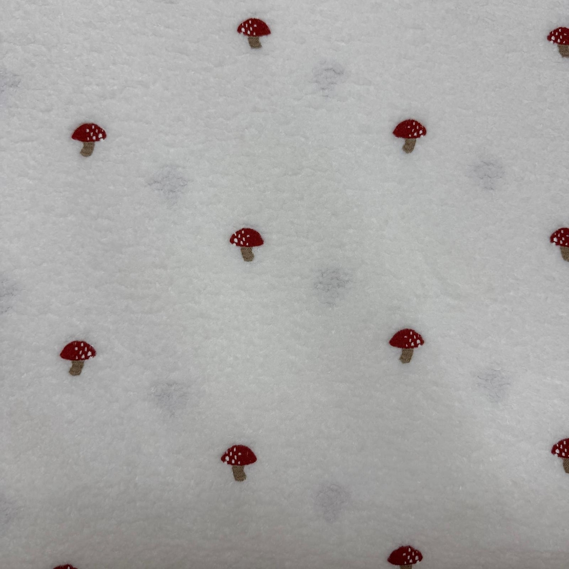 בוקלה טדי רקמת פטריות על רקע לבן חם