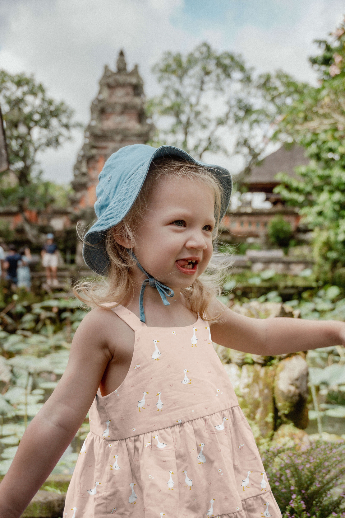 אריג כותנה דפוס אווזים על רקע פודרה