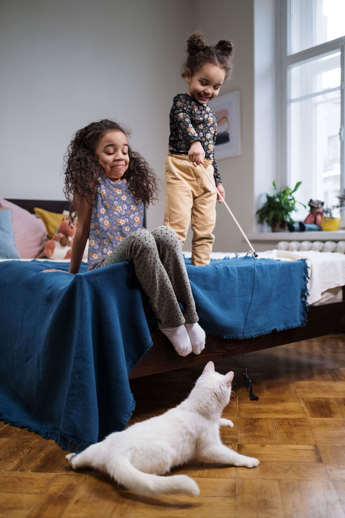 טריקו כותנה אורגני על רקע לבנדר דגם שרון