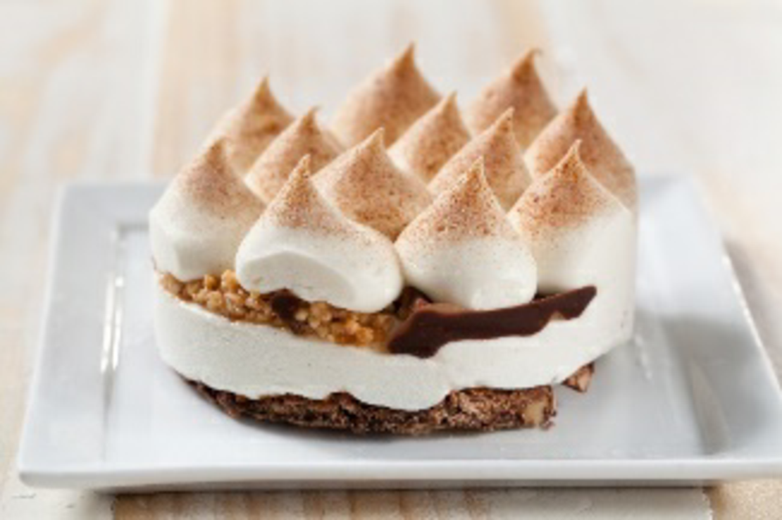 שוויצריה הקטנה אישי - ביסקוטי כשל