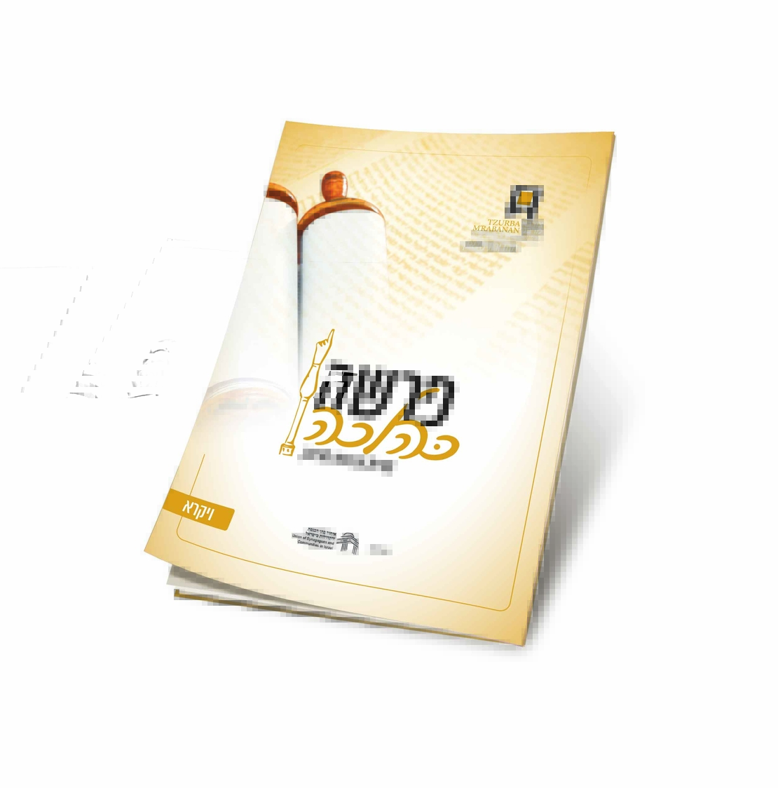 פרשה כהלכה ויקרא