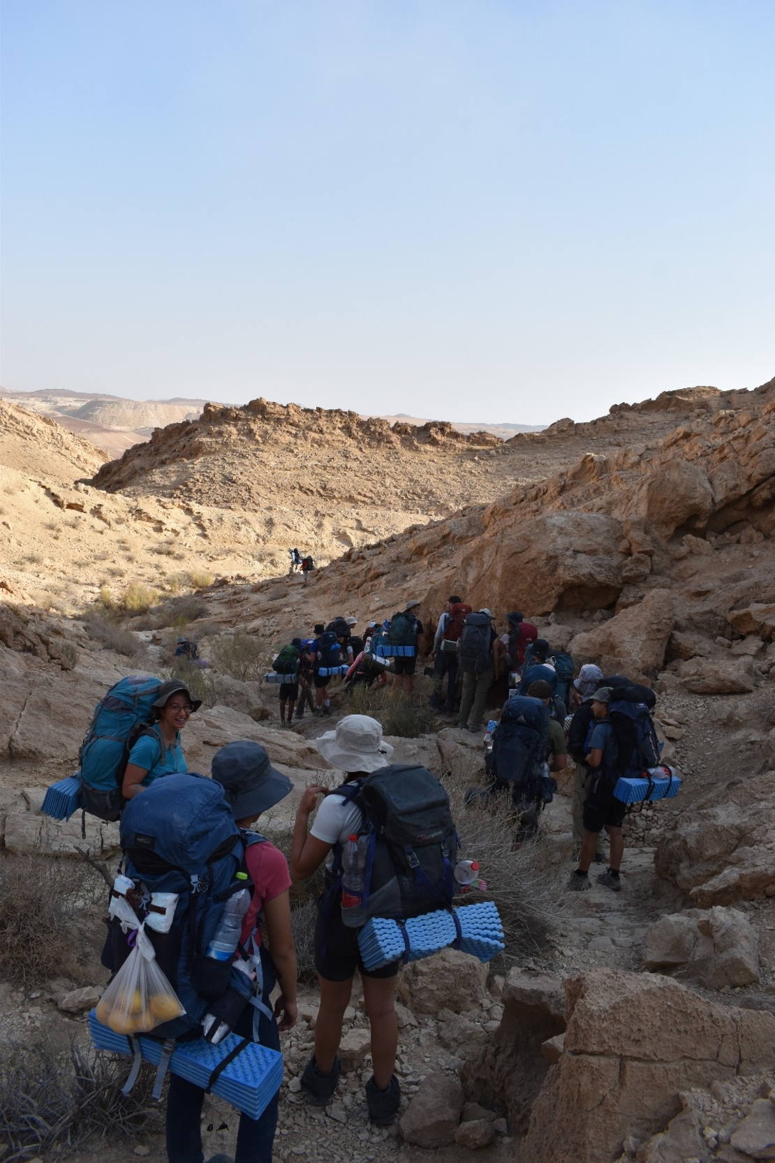 שלוחת שדה בוקר, שנה