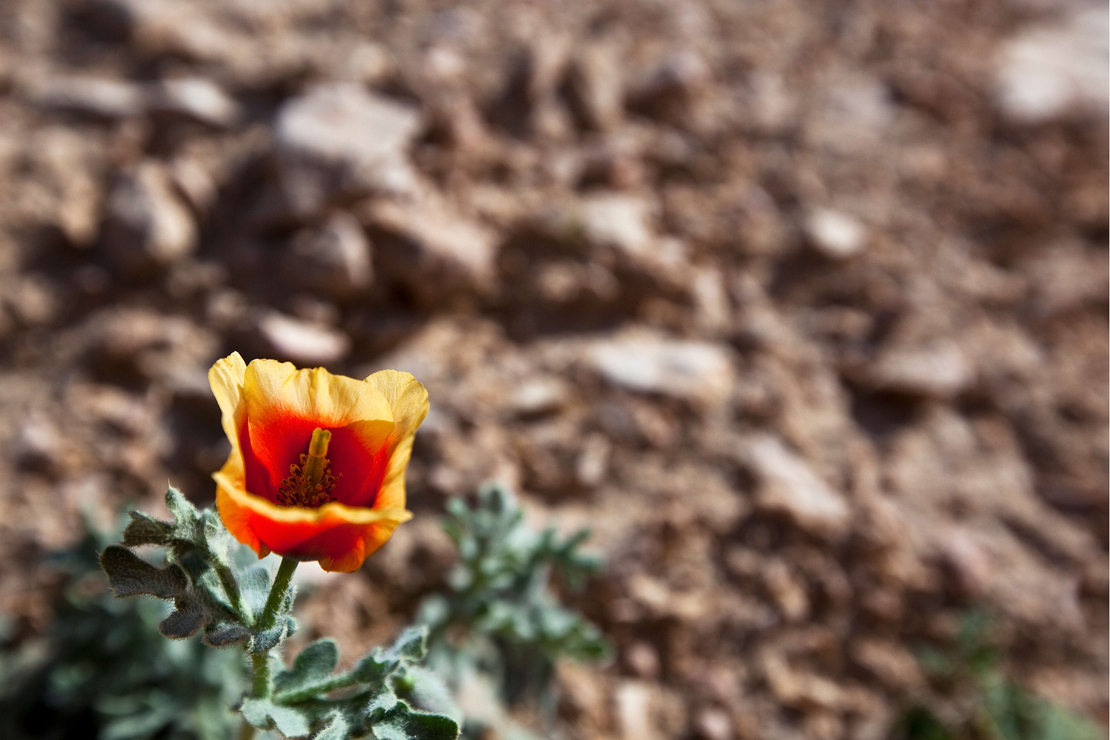 טיול פרטי תמי קרן קיבוץ החותרים - 27-29/11/25