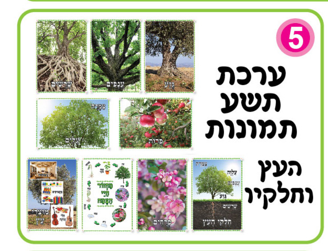 ערכת 9 תמונות העץ וחלקיו