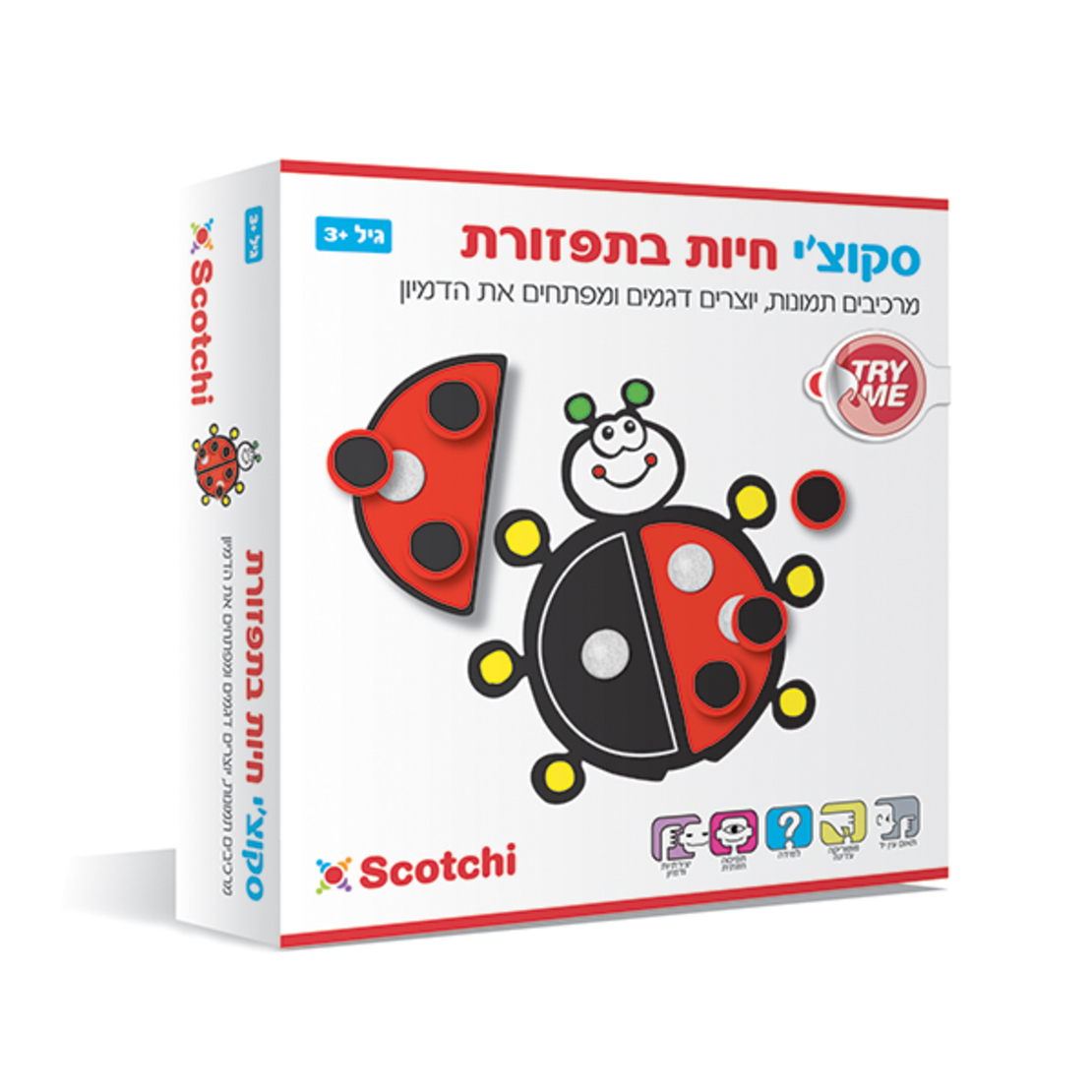 סקוצ'י חיות בתפזורת