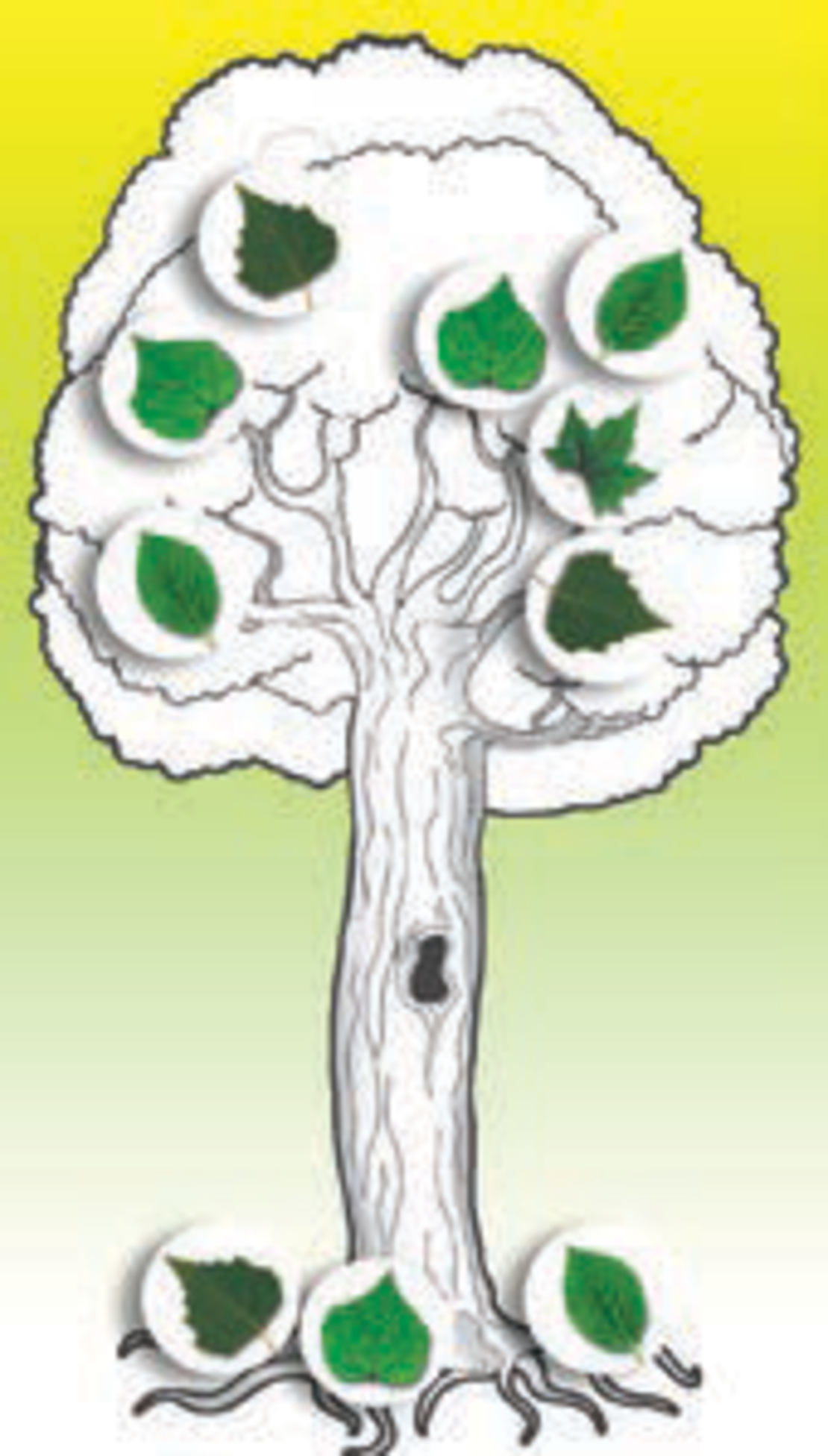 יצירה עץ עם מדבקות עלים 1/36