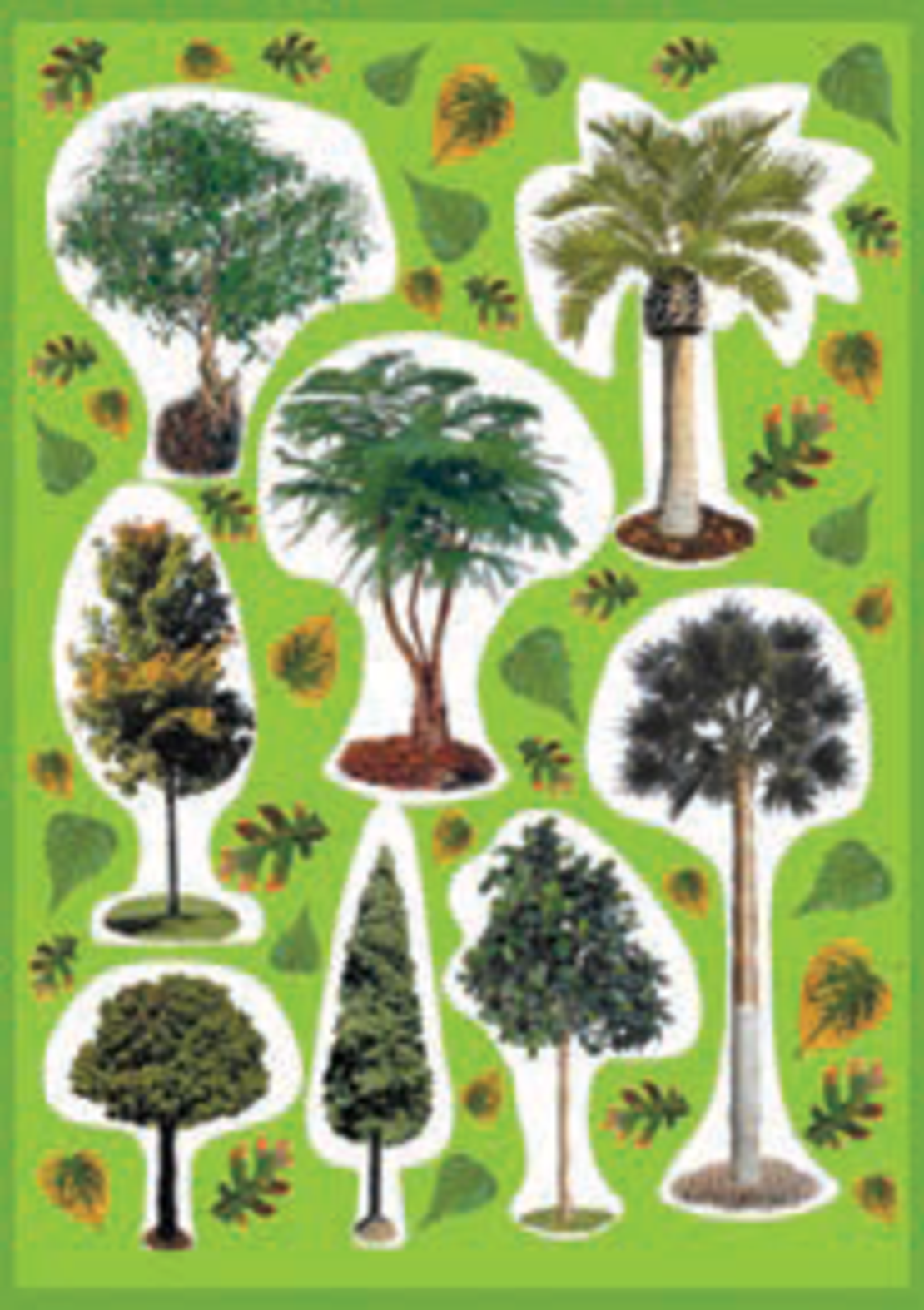 גזירות קרטון עצים