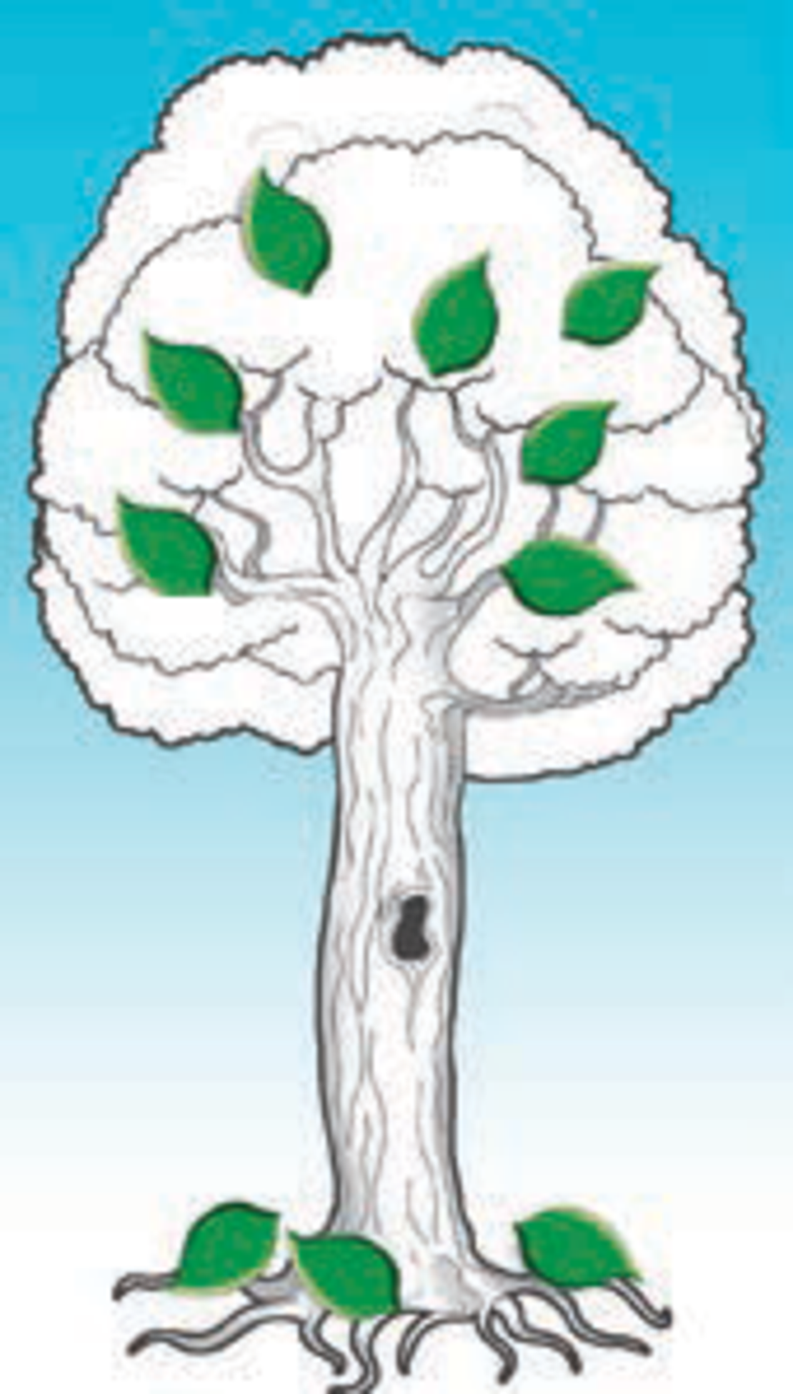 יצירה עץ + עלי סול ירוקים 1/36