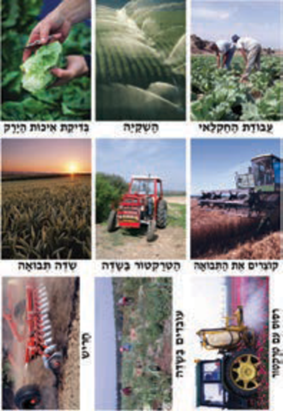 ערכת תמונות חקלאי