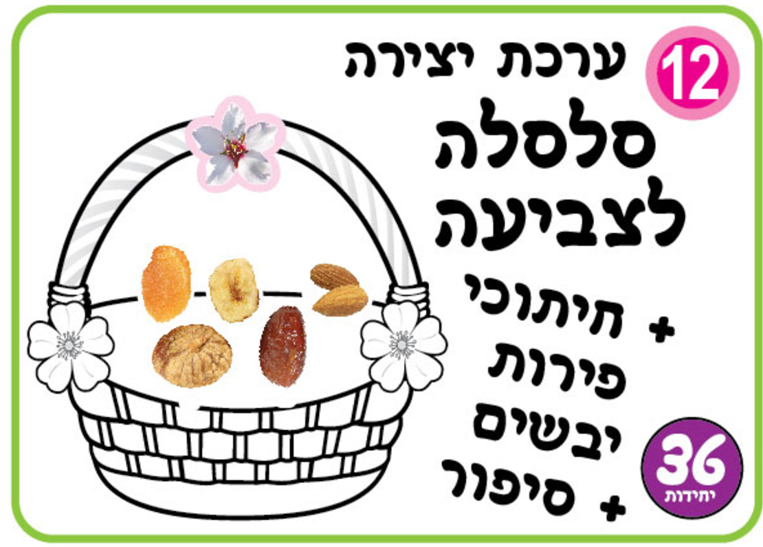 ערכת יצירה סלסלה + פירות יבשים 1/36