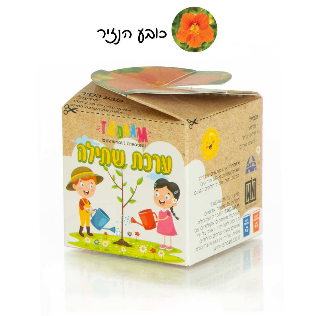 ערכת שתילה פרחים