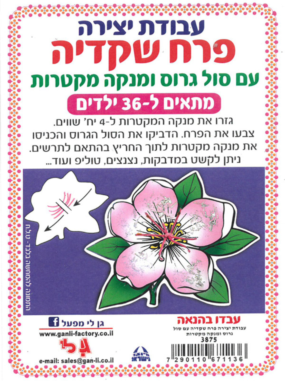 עבודת יצירה פרח שקדיה עם סול גרוס