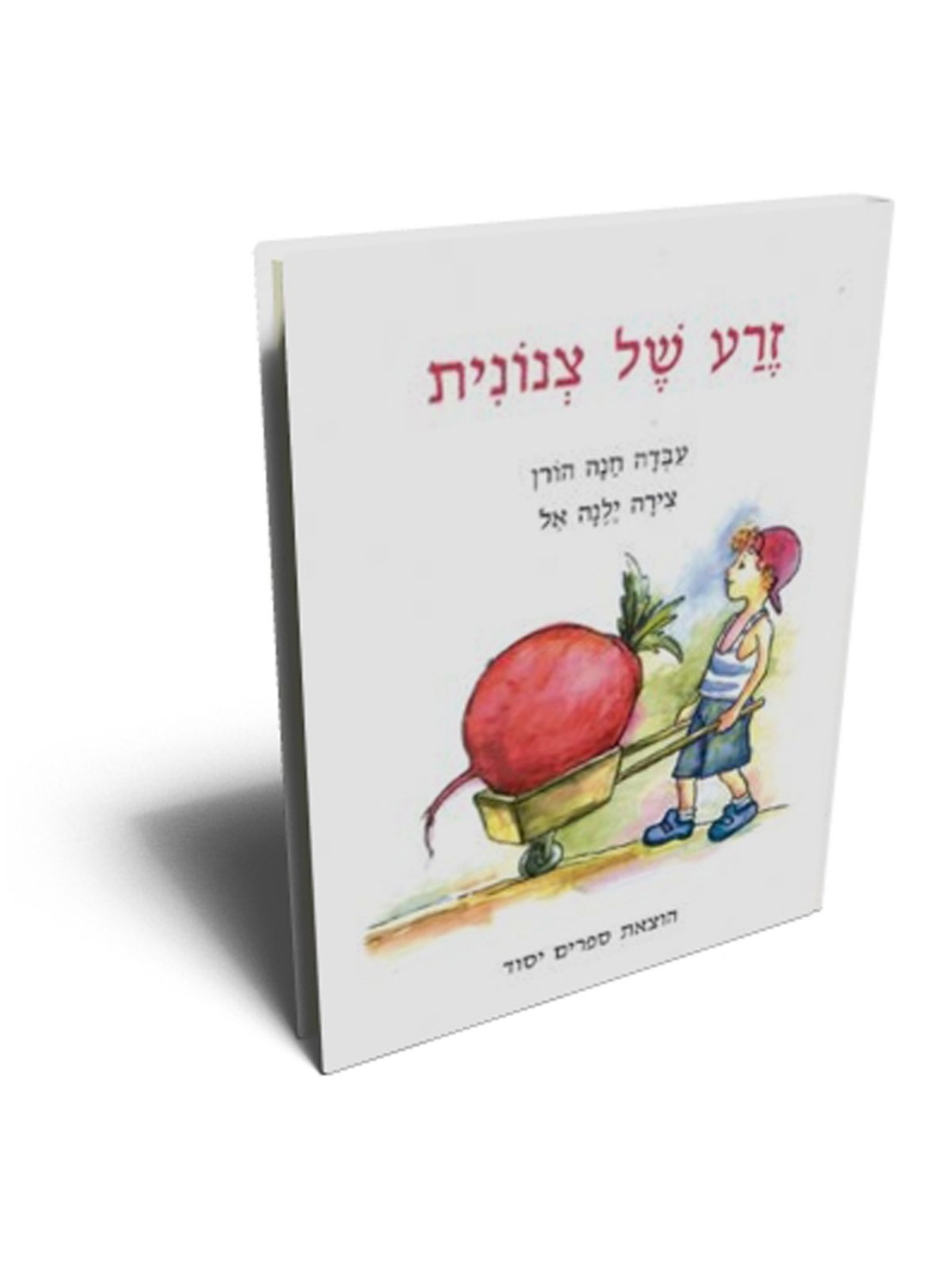 זרע של צנונית