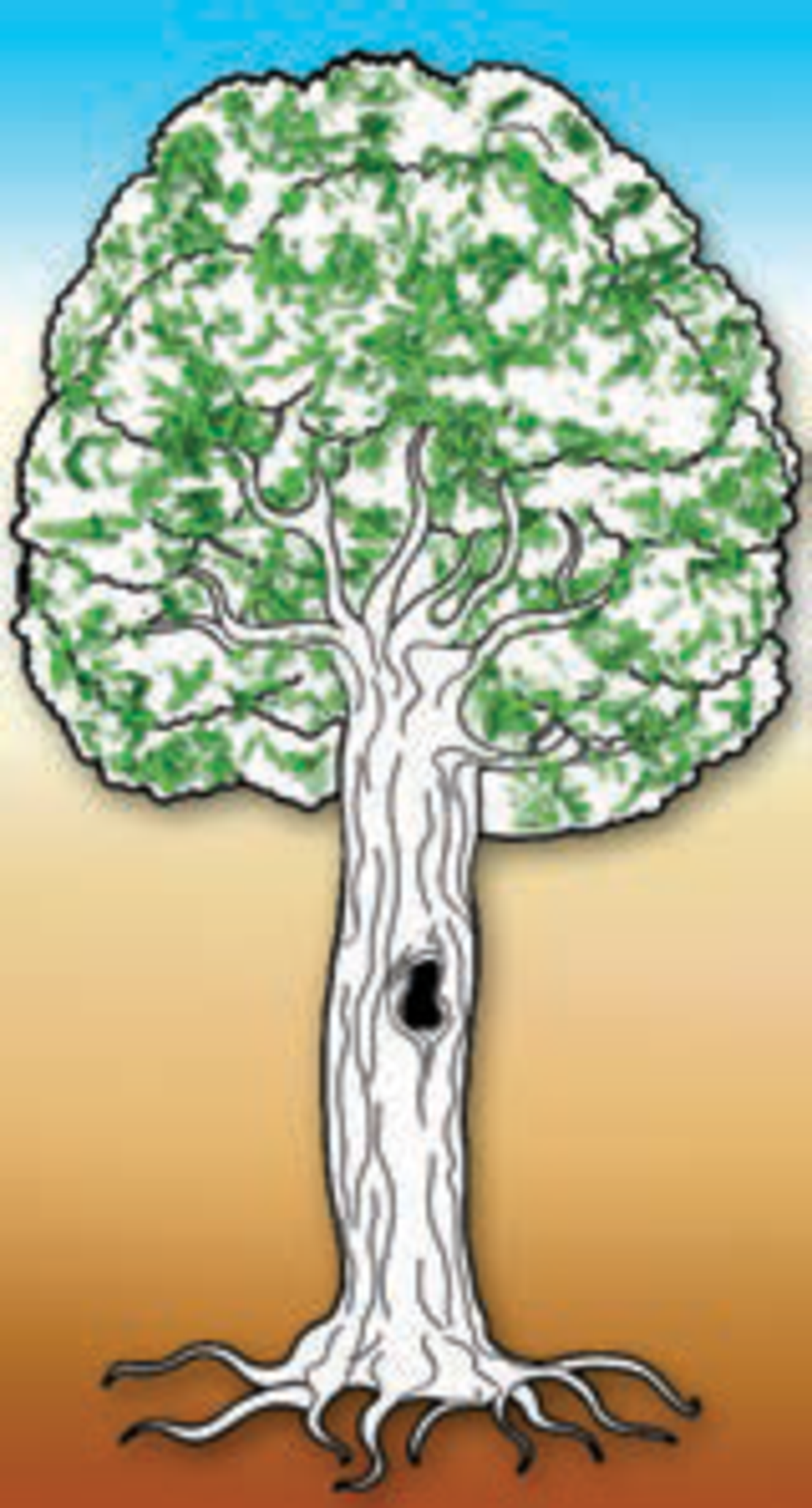 יצירה עץ עם סול גרוס 1/36