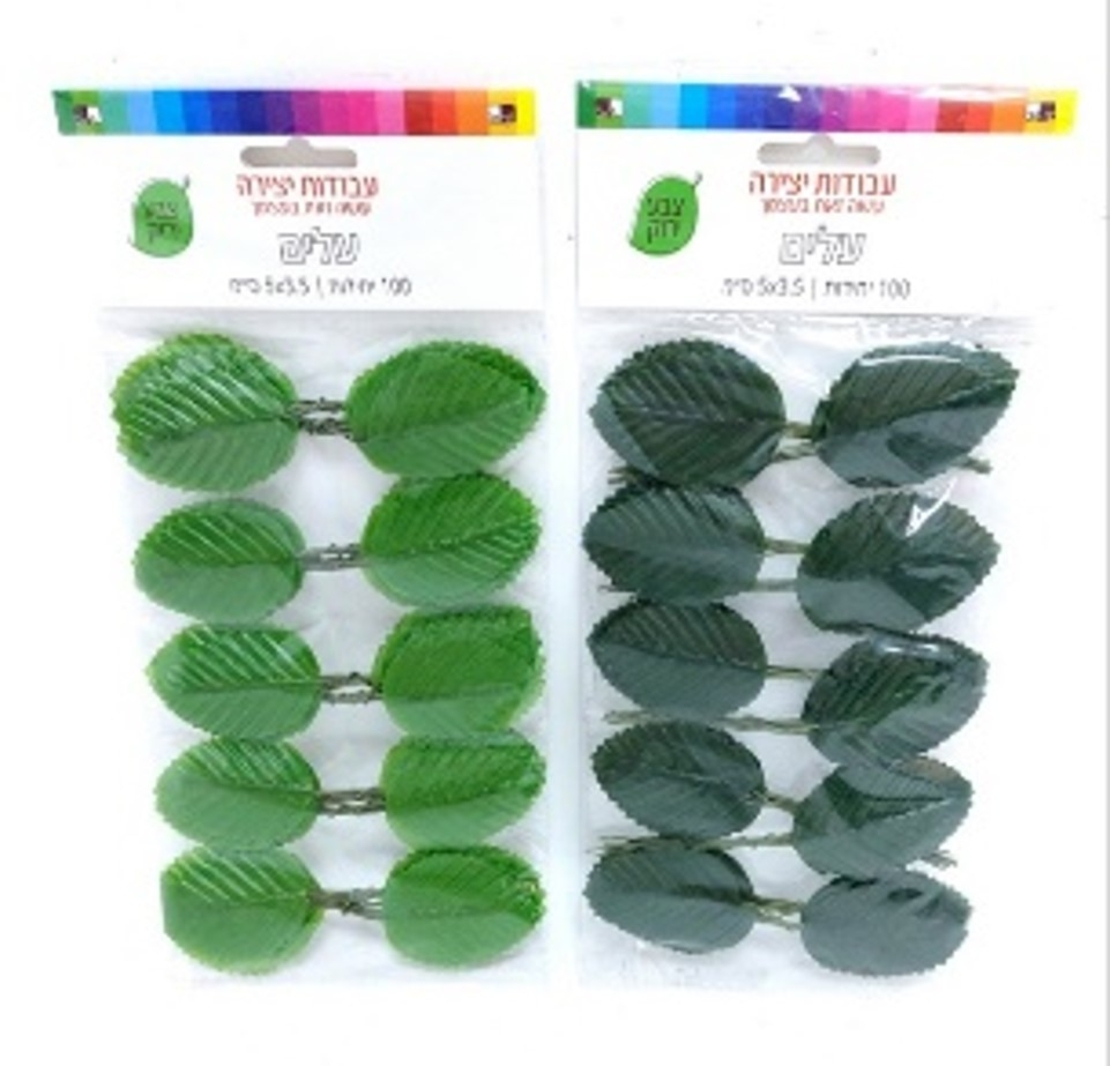 עלים ירוקים 5 ס