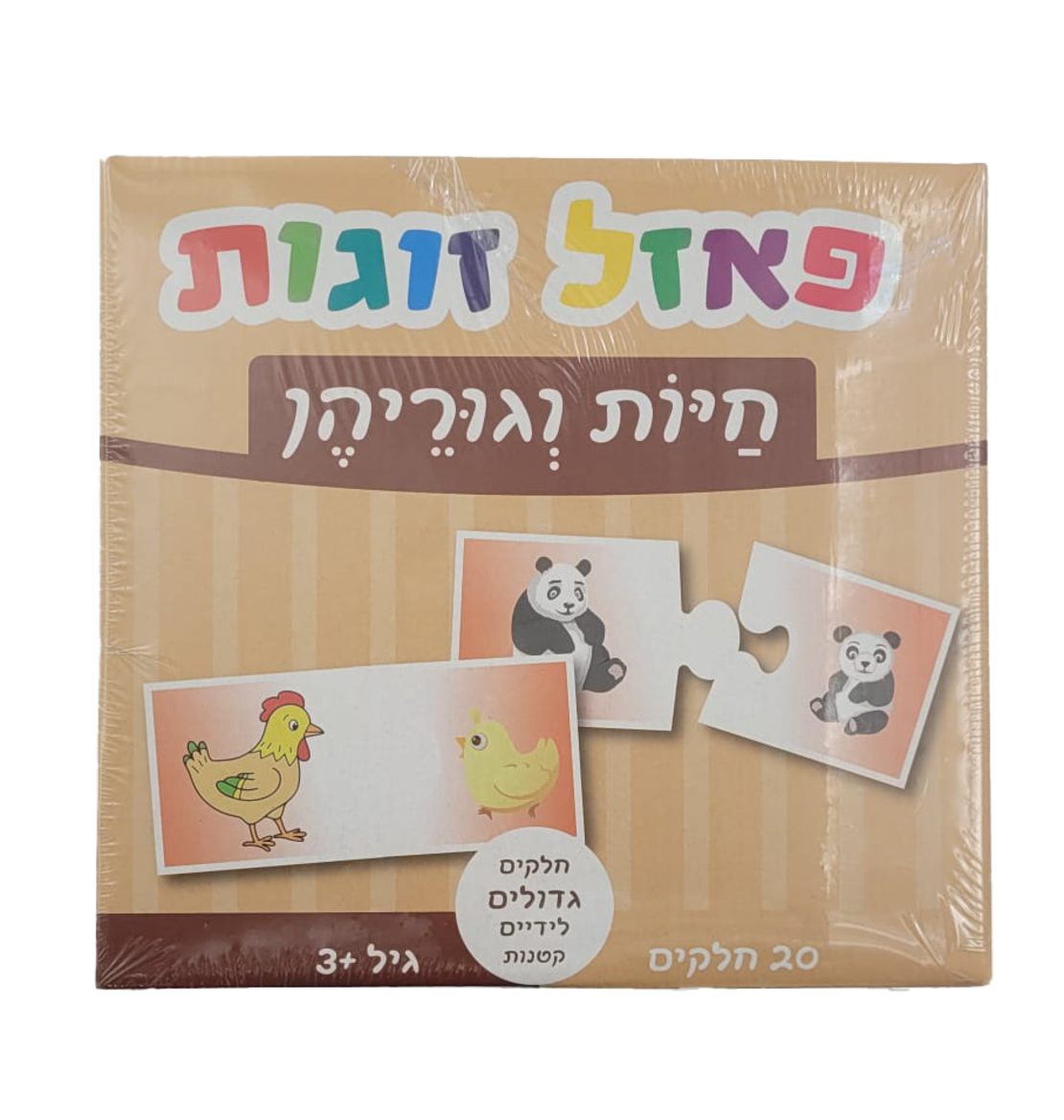 פאזל זוגות