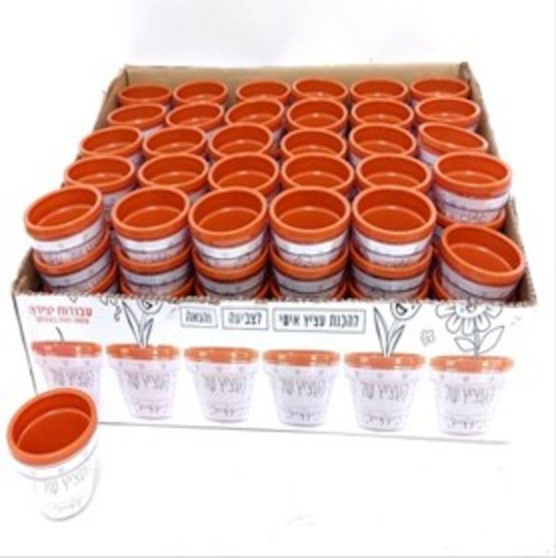 העציץ של פלסטיק