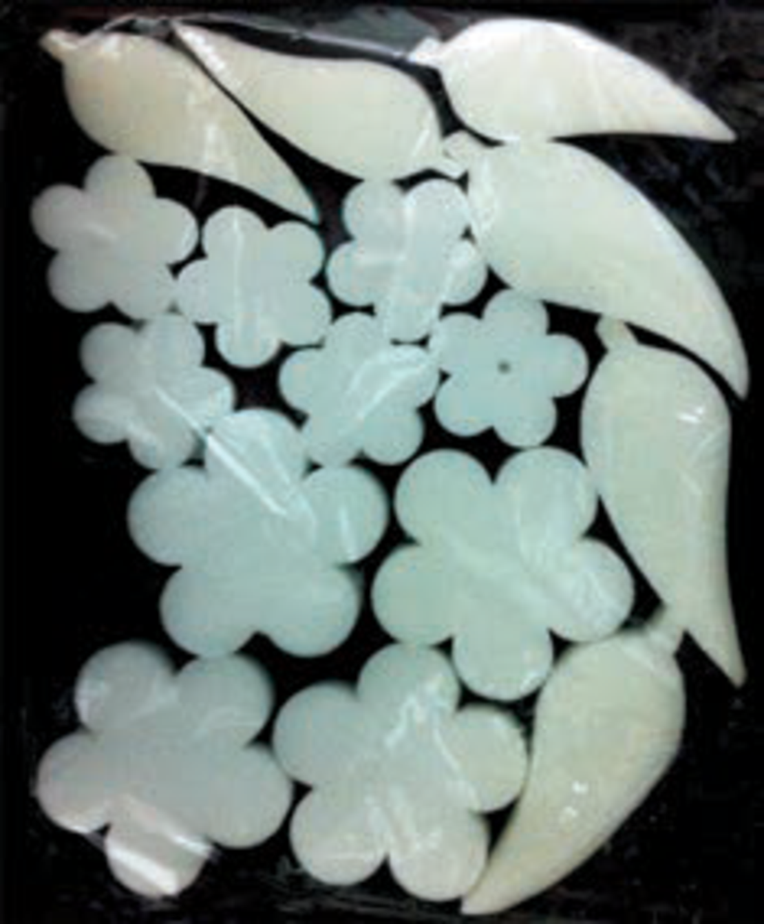 חותמות ספוג עלים ופרחים