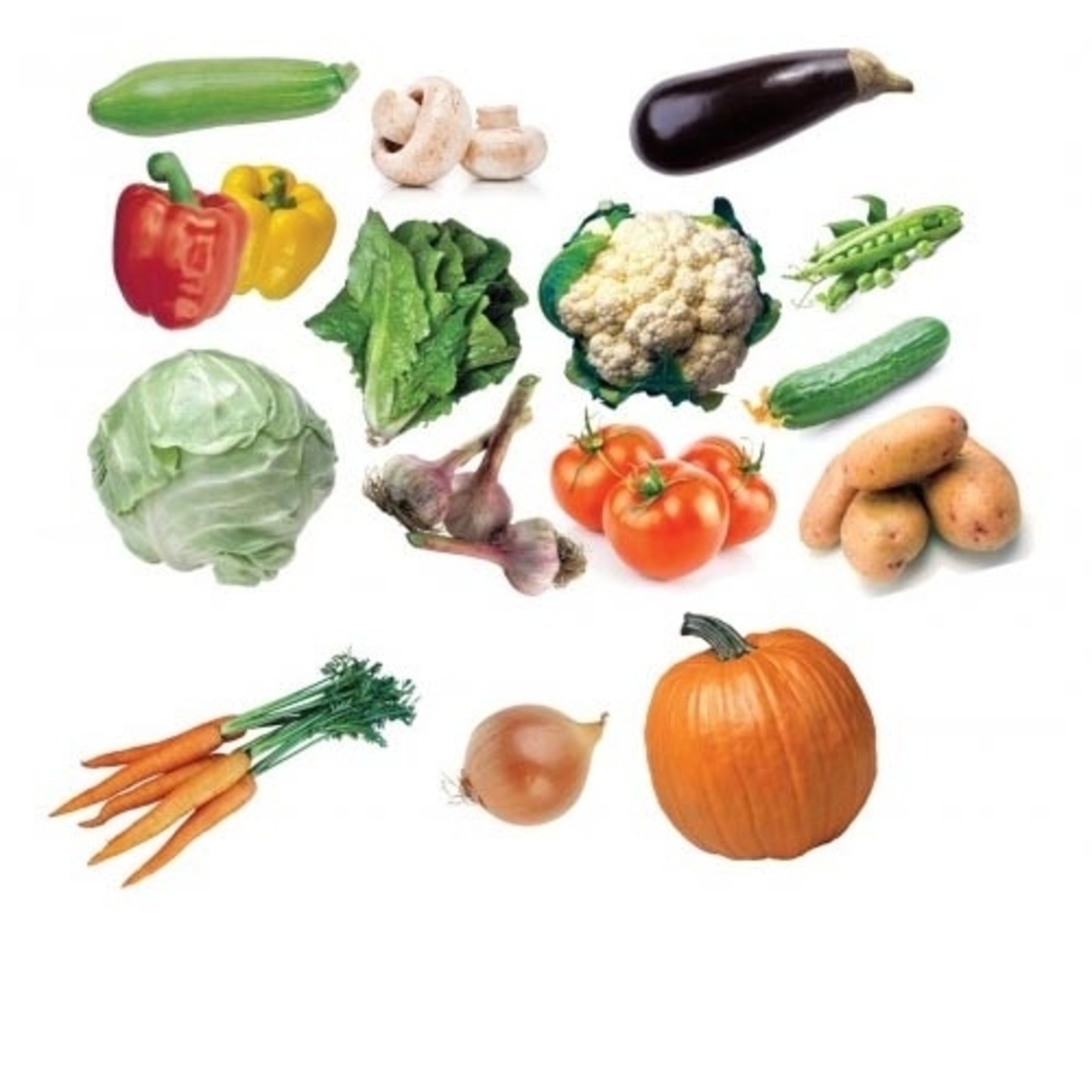 גזירות גדולות להמחשה - ירקות  18 יח' GL