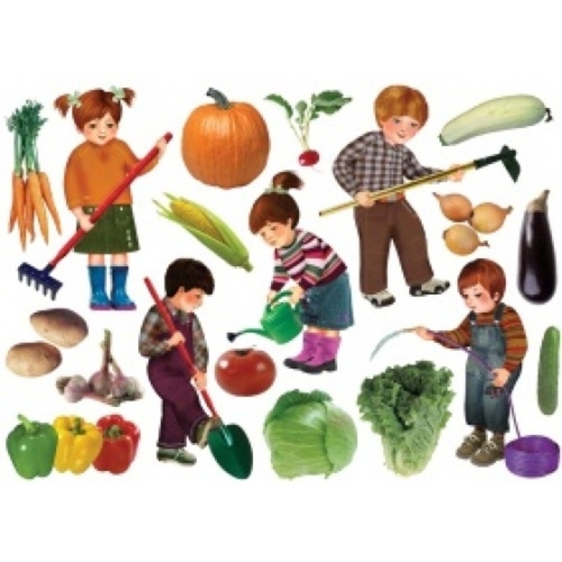 כרזה ממפל ט