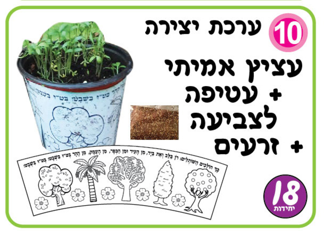 ערכת יצירה עציץ+עטיפה לצביעה +זרעים 1/18