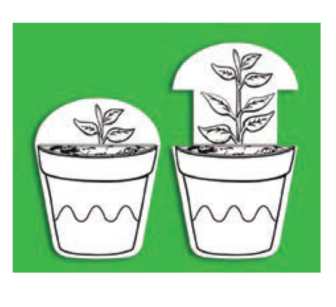 יצירה שתיל נשלף 1/36