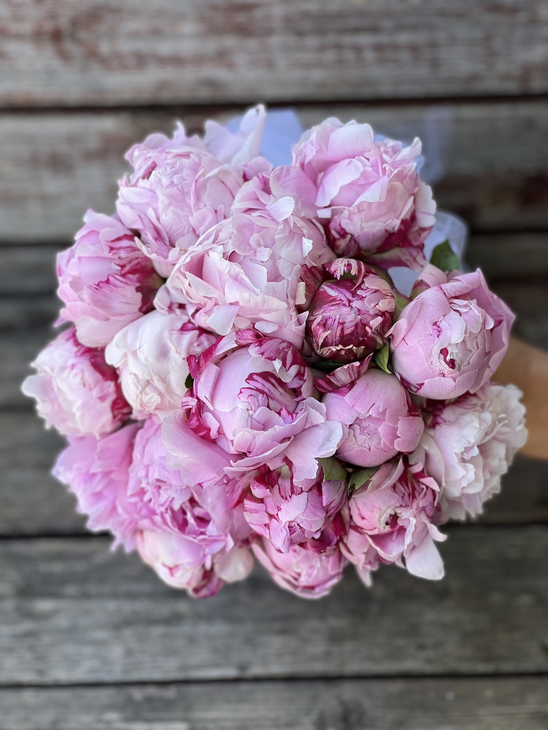 Fiona's bridal bouquet