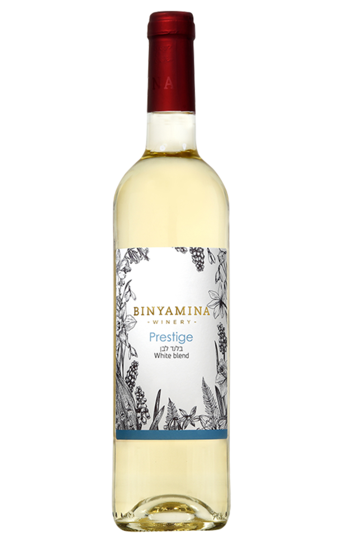 Binyamina - White Blend | Kosher