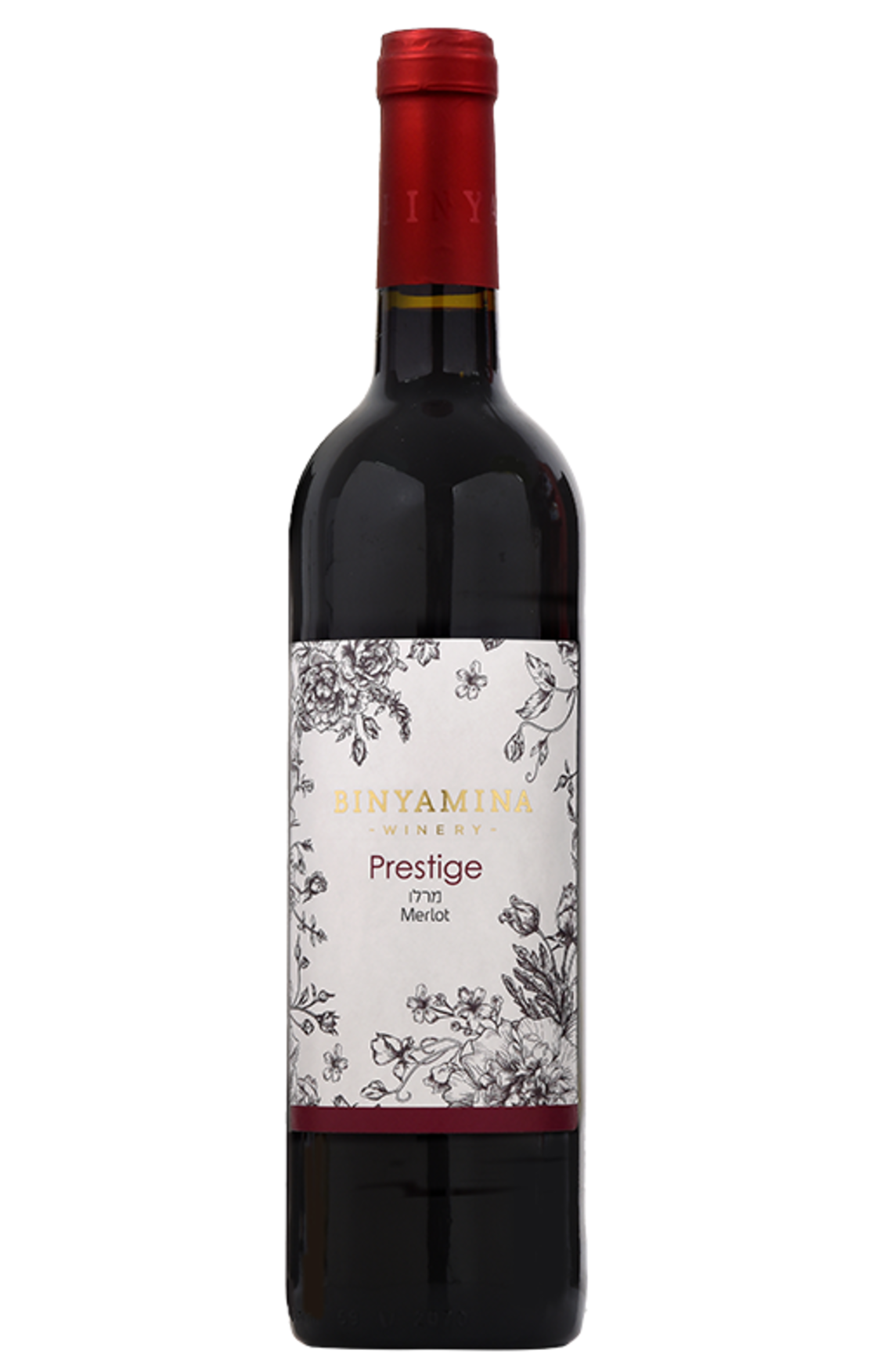 Binyamina-Merlot | Kosher