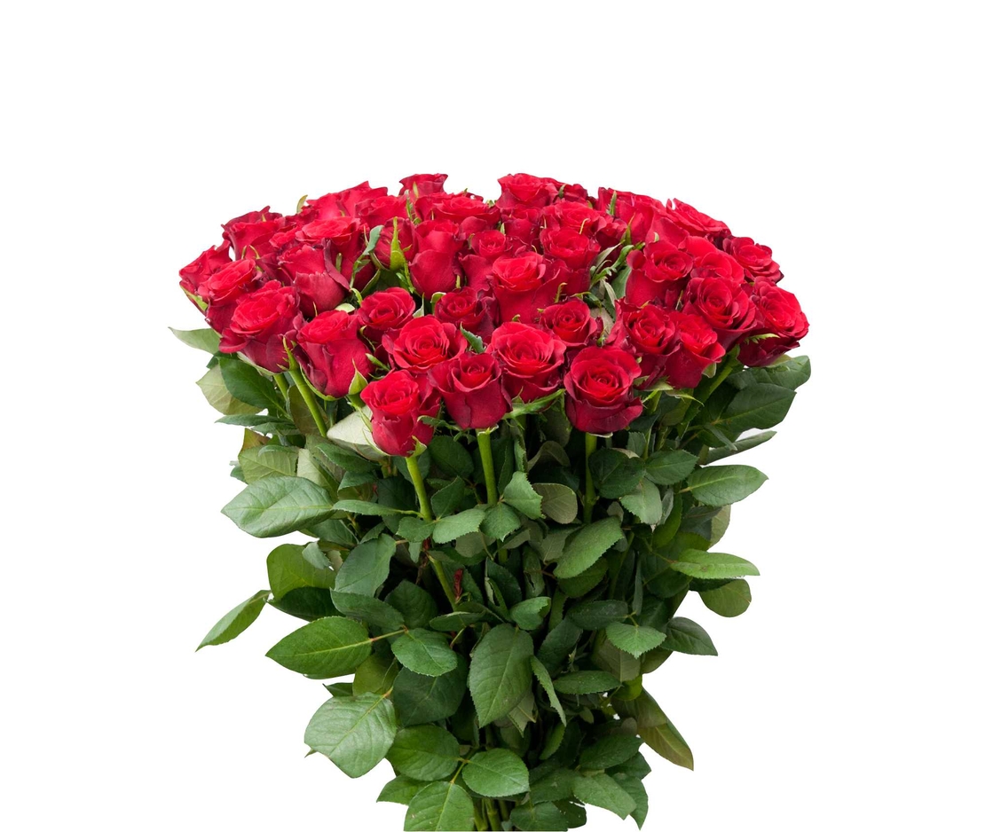 Bouquet of 51 roses