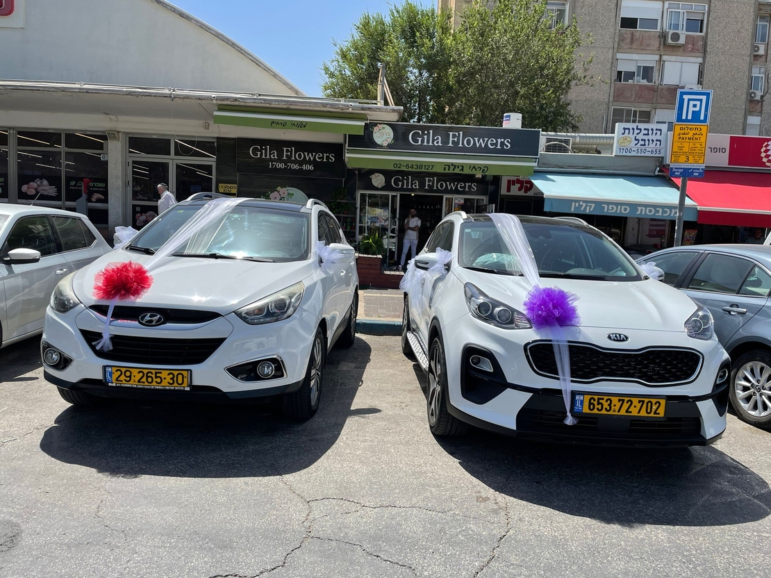 קישוט רכבים במבחר צבעים