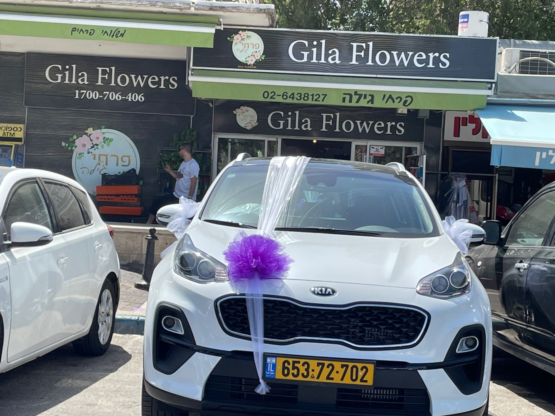 קישוט רכב לבן סגול