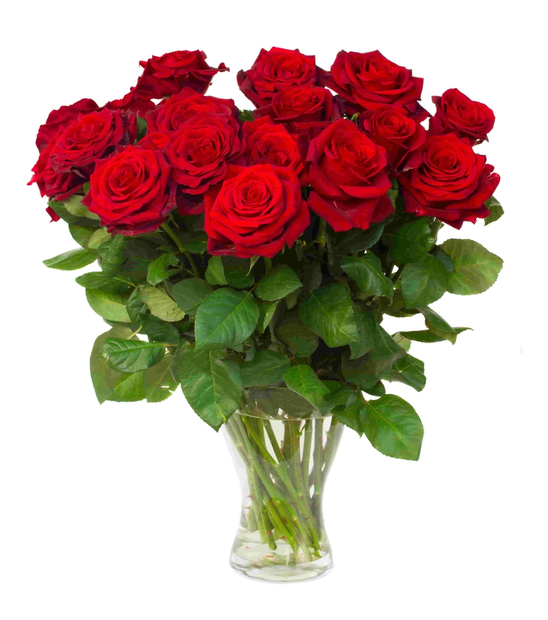 Single Roses