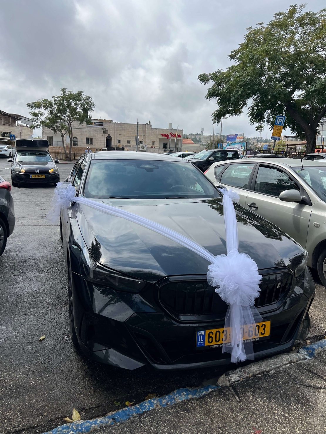 קישוט רכב אלגנטי