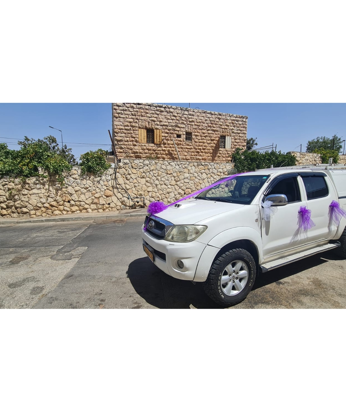 קישוט טנדר בסגול