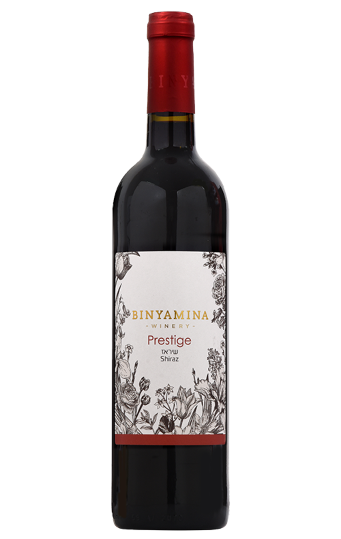 Binyamina-Shiraz | Kosher