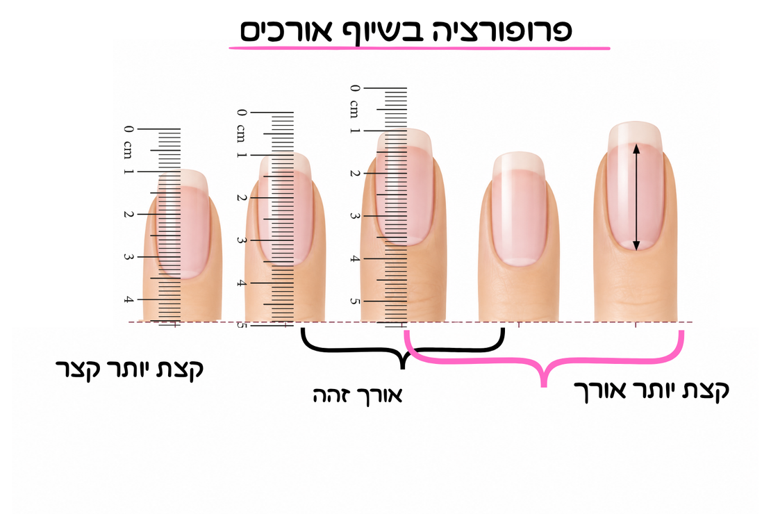 קורס MASTER SHAPE
