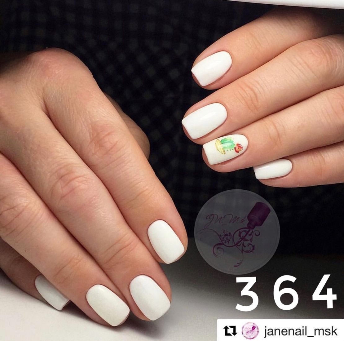 קקטוסים ופרחים 364