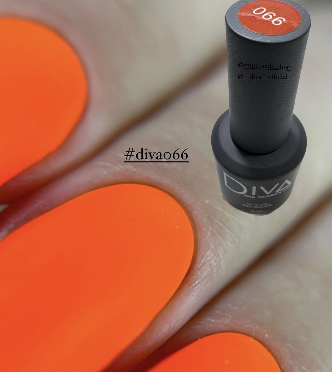 Diva 066 NEW