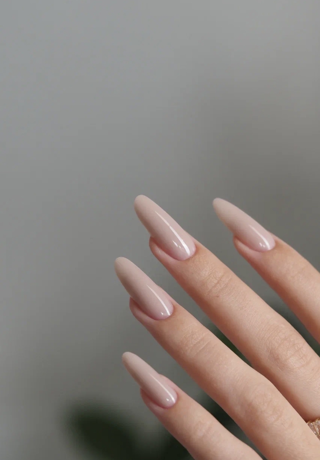NR classic gel 40