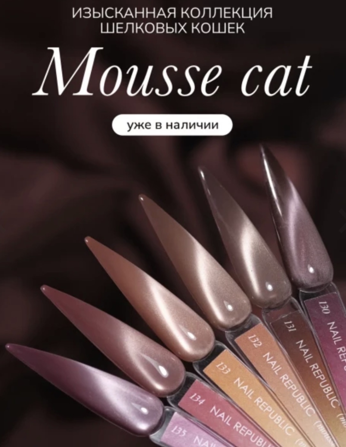 Mousse cat